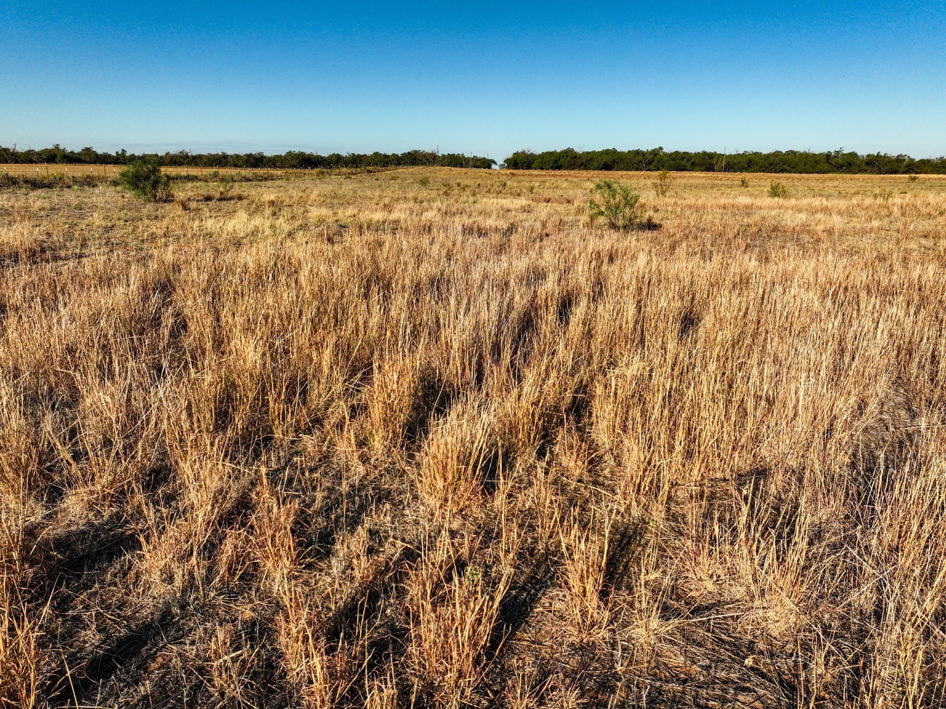 201.7 acres in Haskell County - photo 26