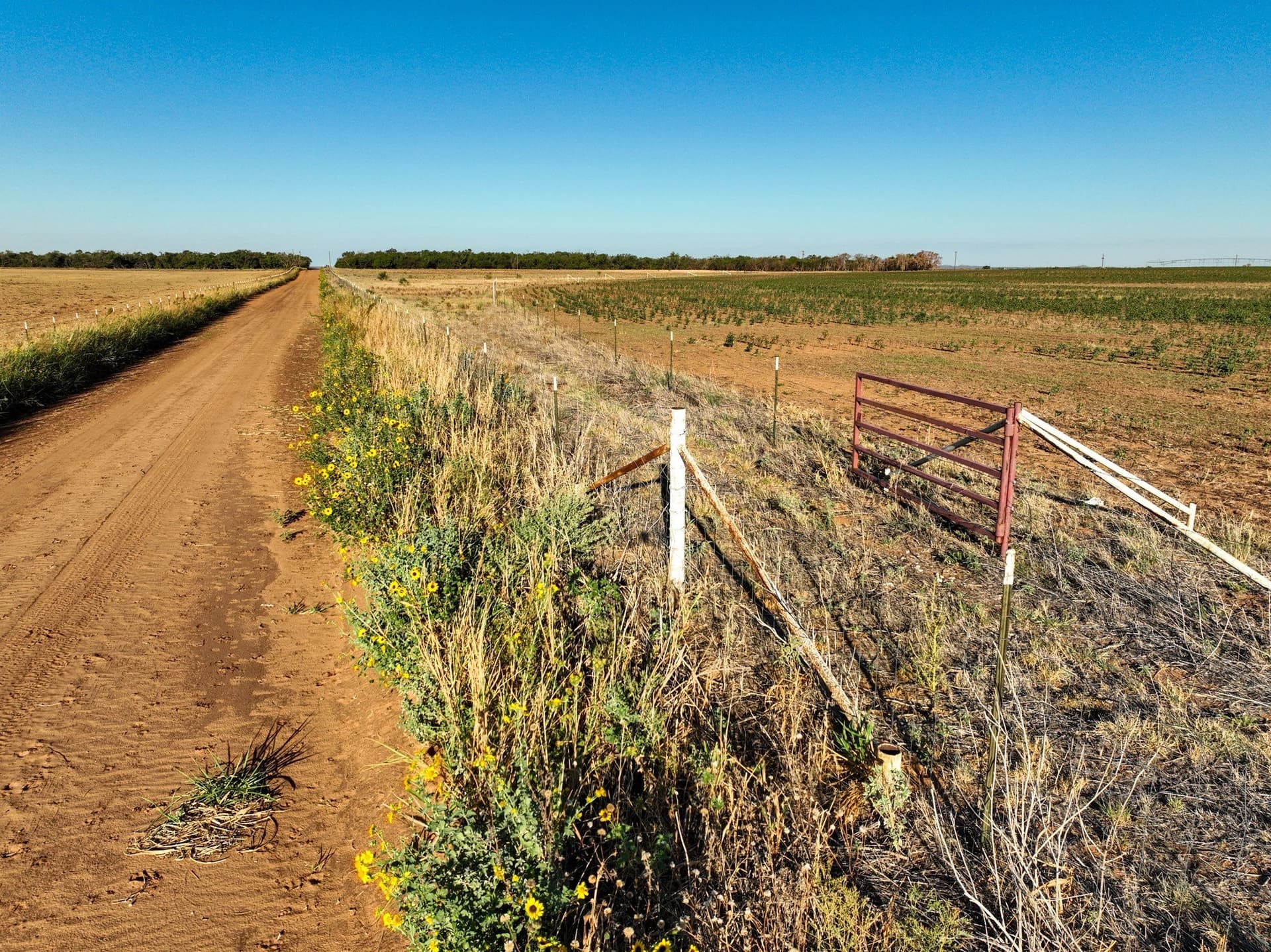 201.7 acres in Haskell County - photo 18
