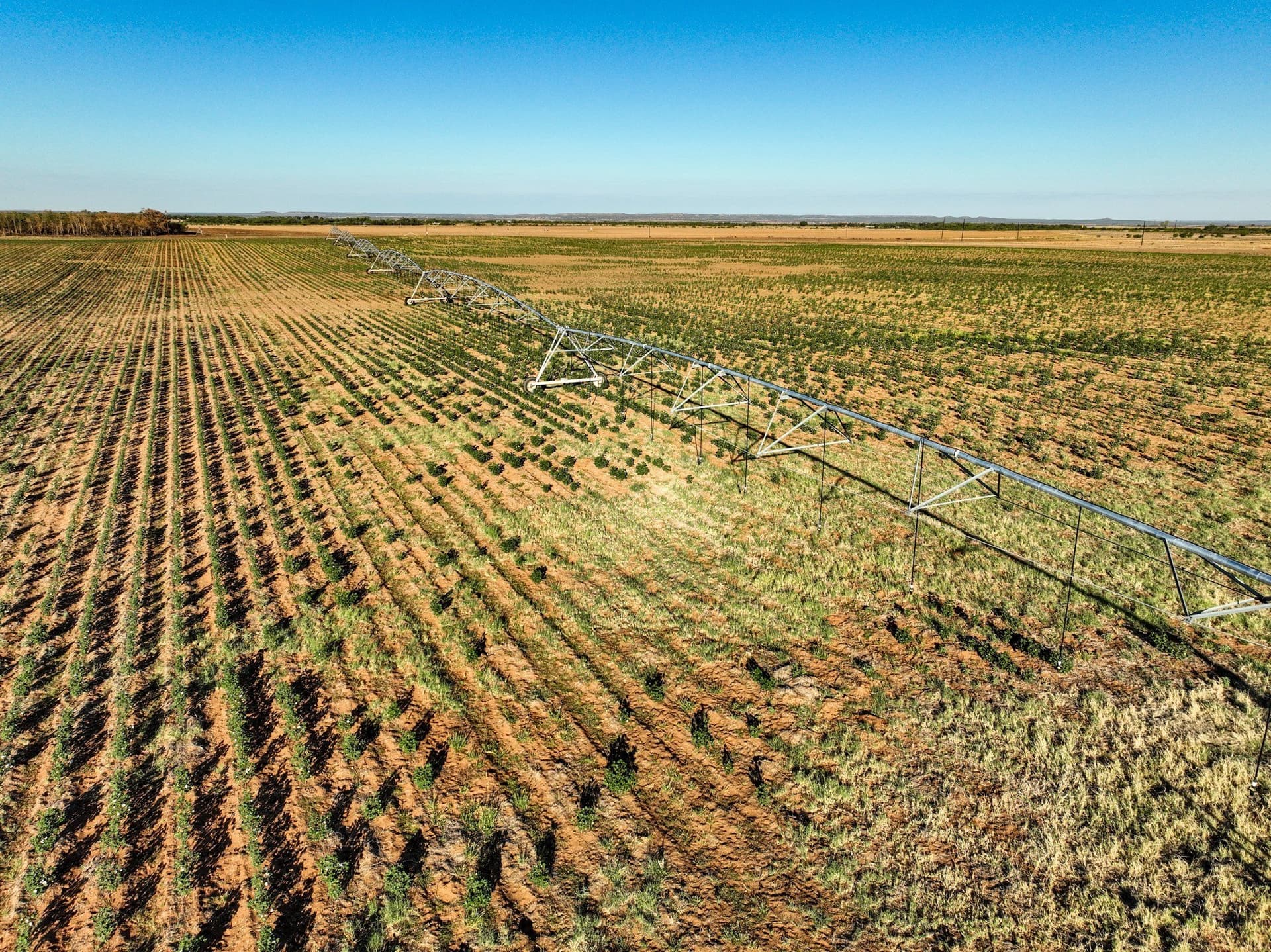 201.7 acres in Haskell County - photo 21