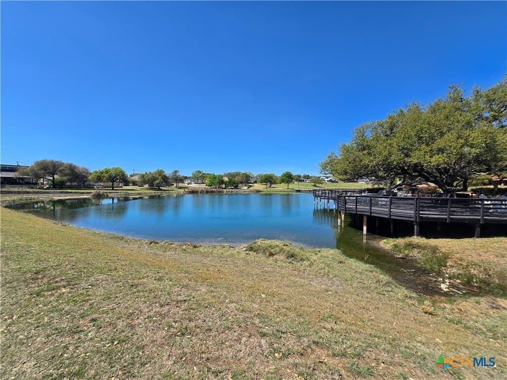 0.33 acres in Blanco County - photo 15