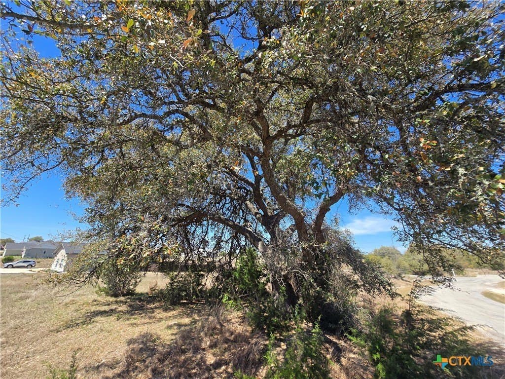 0.33 acres in Blanco County gallery image 3