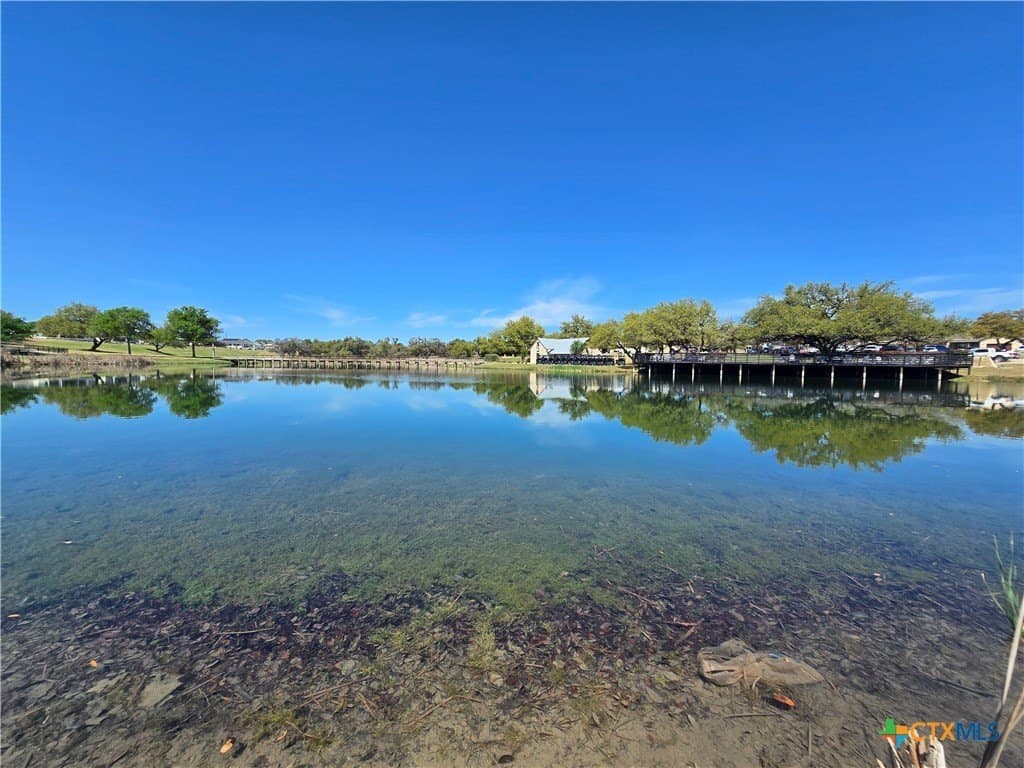 0.33 acres in Blanco County - photo 17