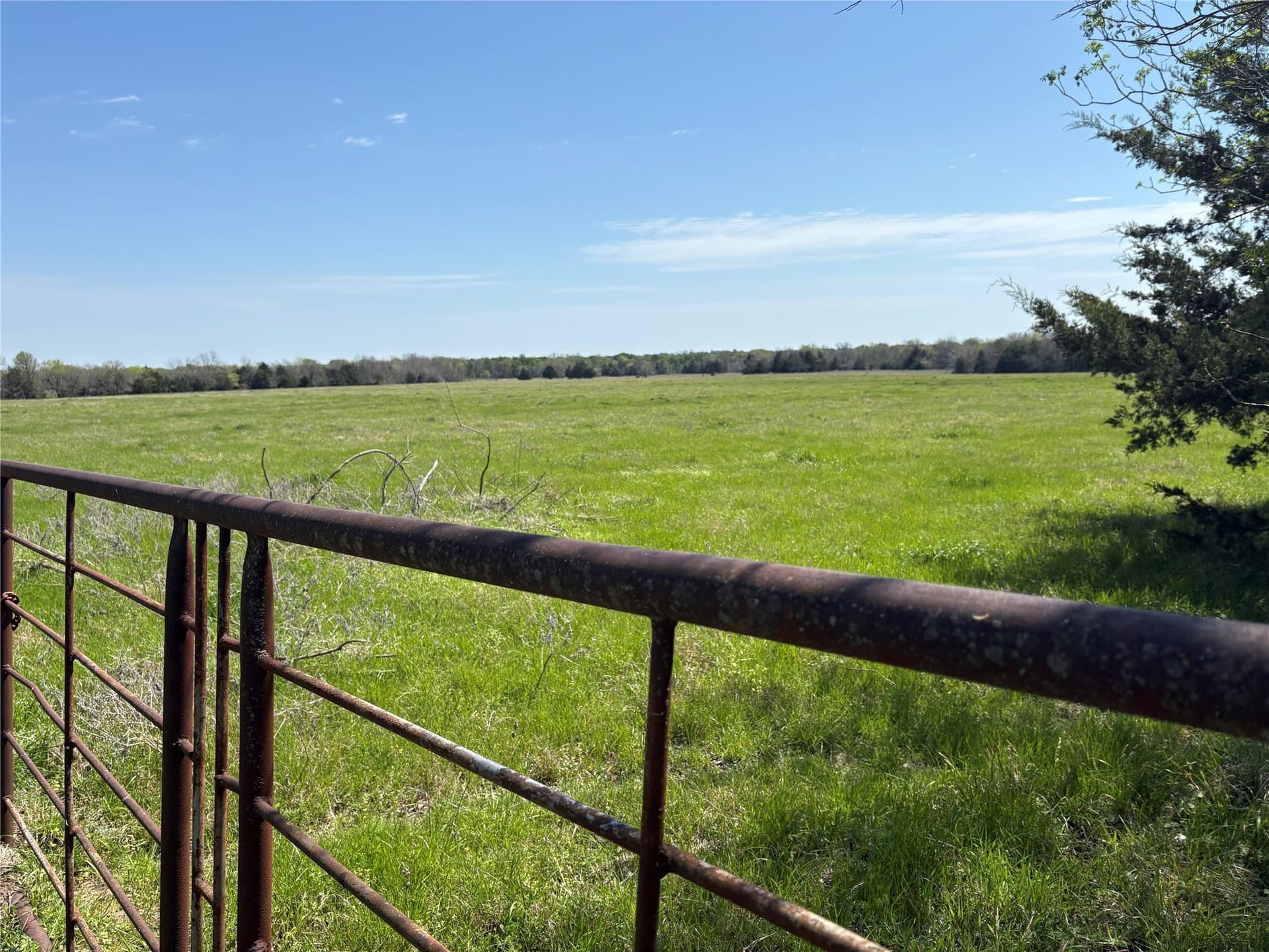70 acres in Hopkins County gallery image 3