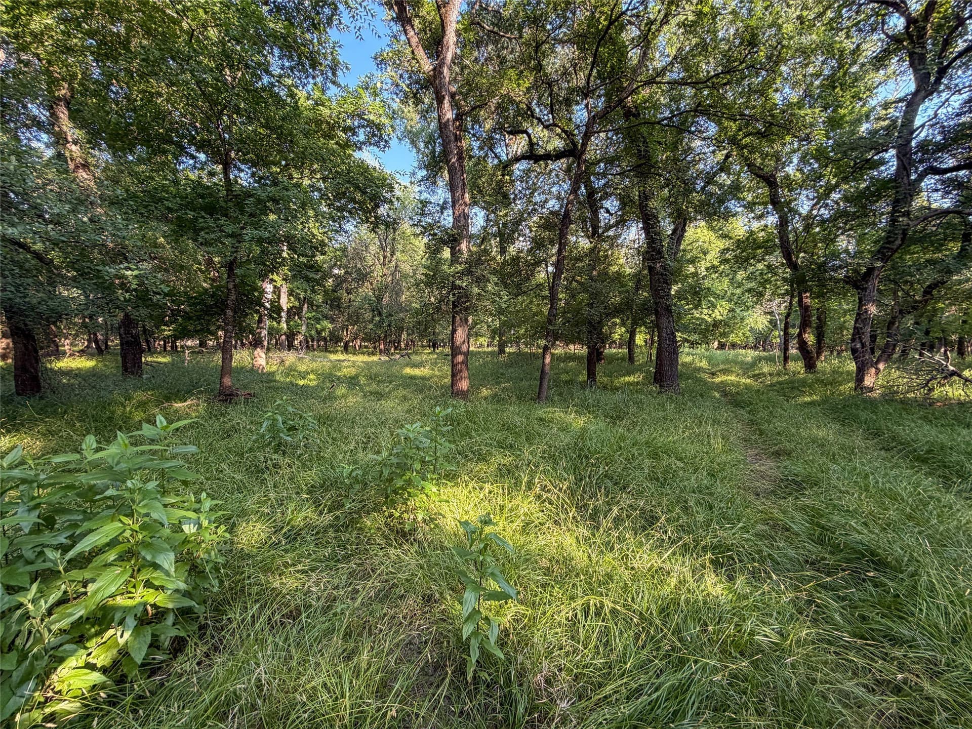 192.7 acres in Wise County - photo 33