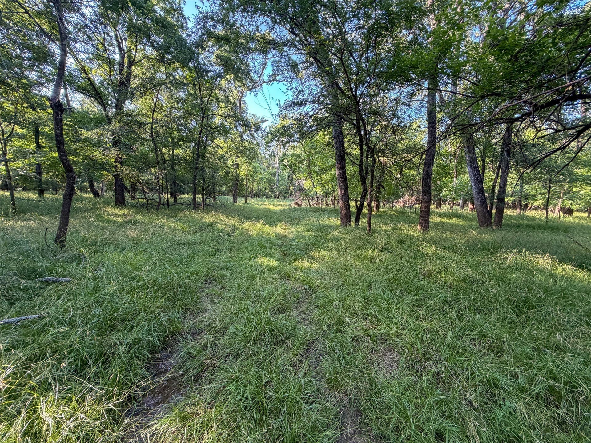 192.7 acres in Wise County - photo 34
