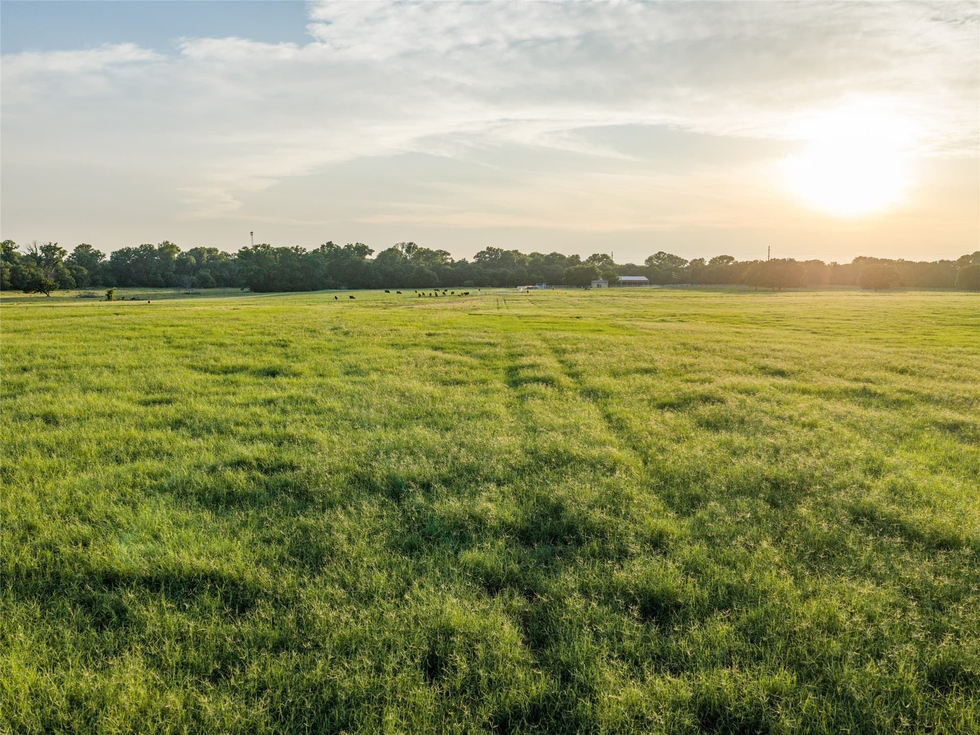 192.7 acres in Wise County - photo 2