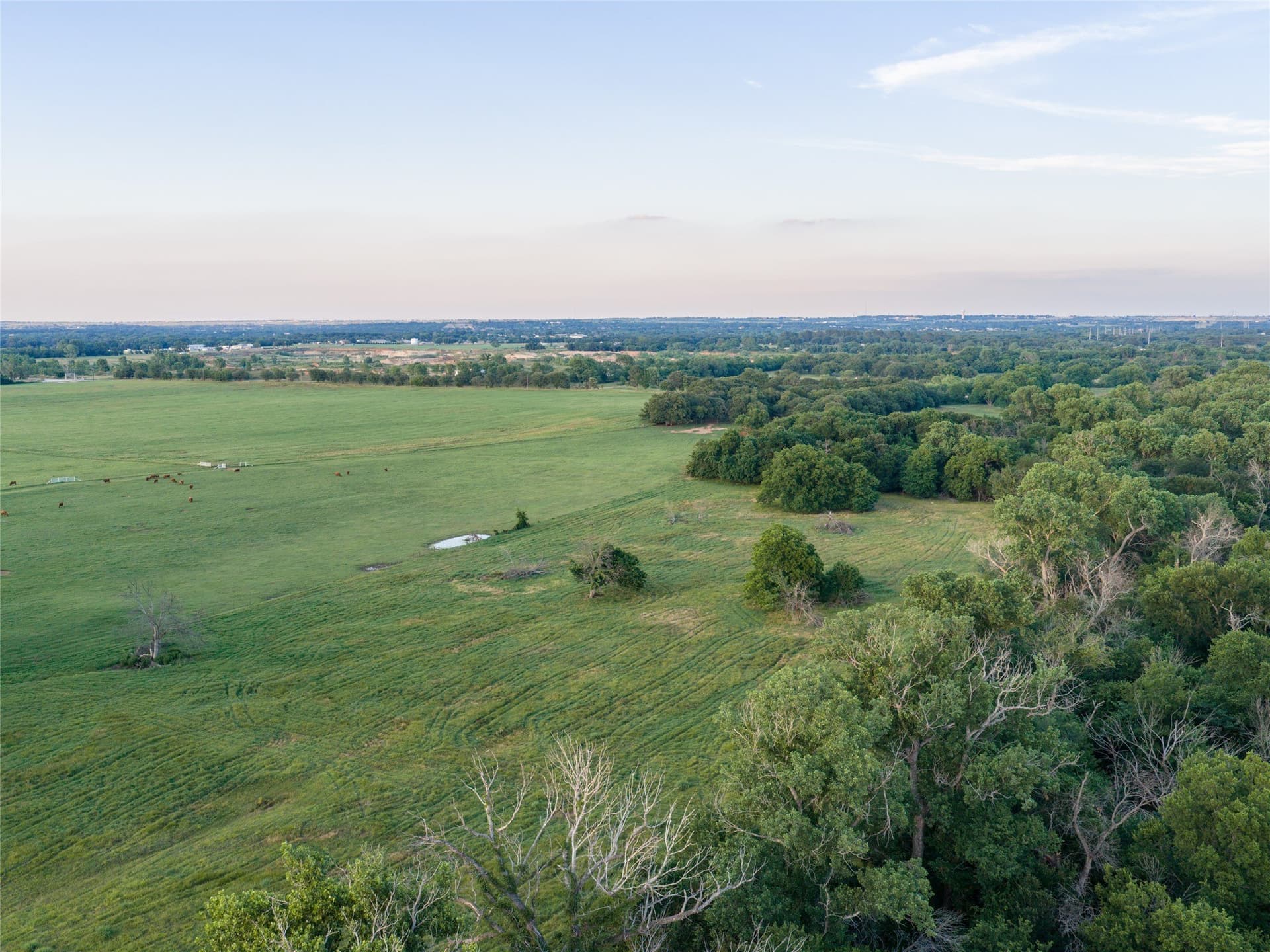 192.7 acres in Wise County - photo 28