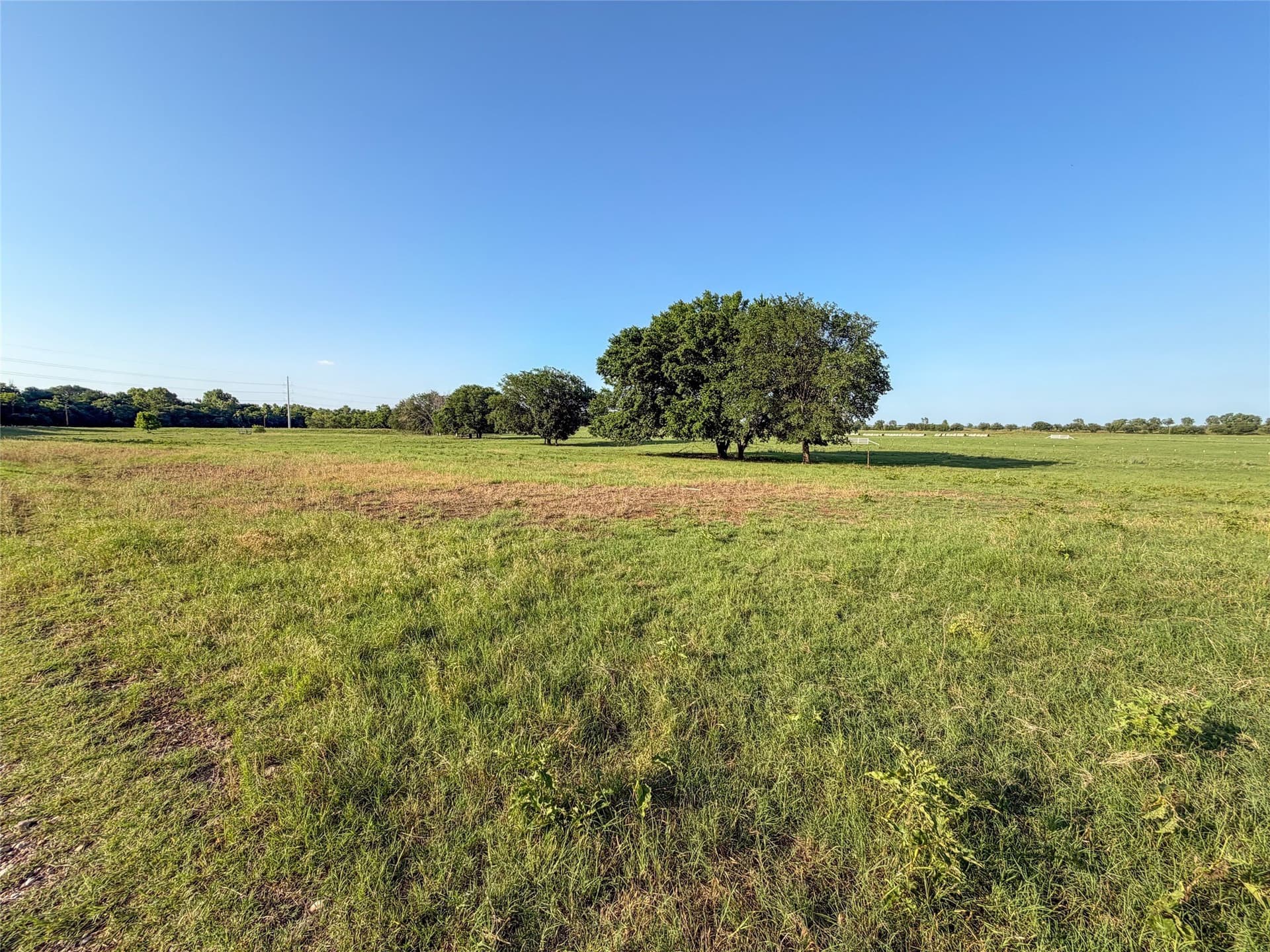 192.7 acres in Wise County - photo 37