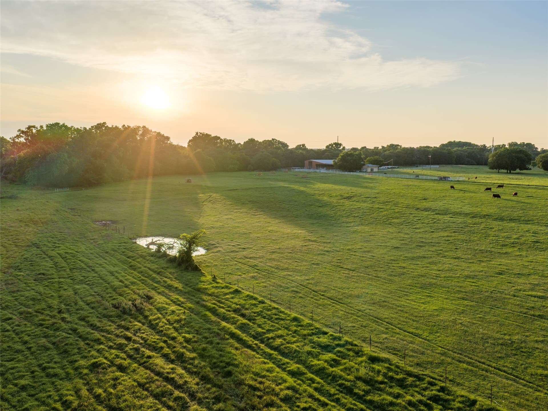 192.7 acres in Wise County - photo 3