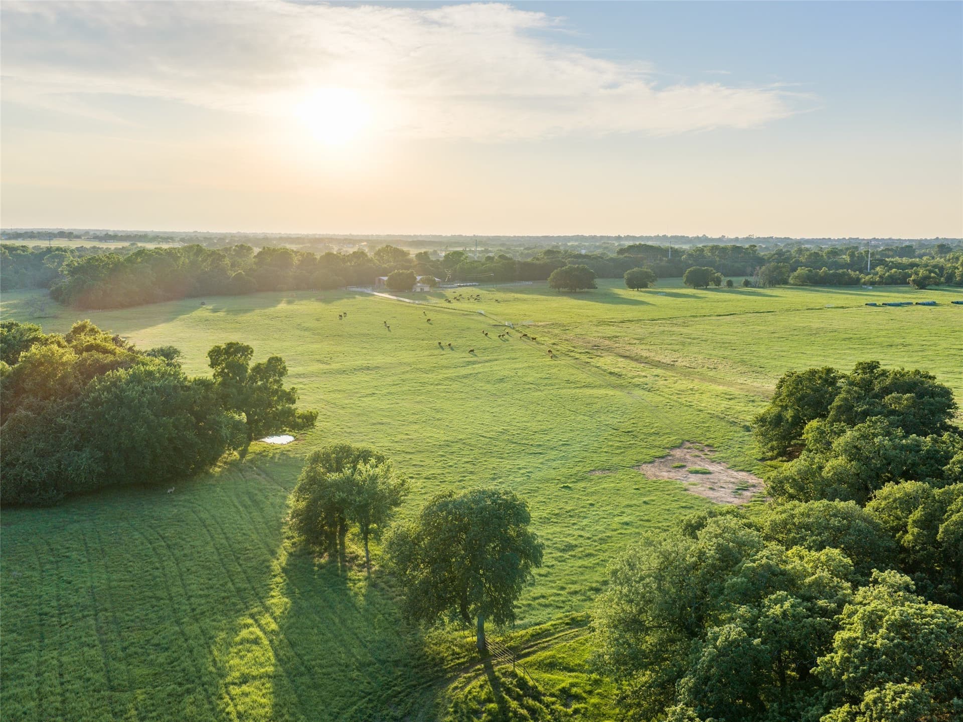 192.7 acres in Wise County - photo 8