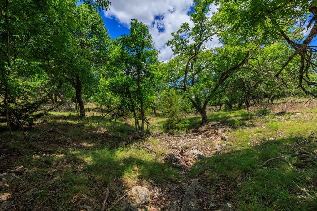34.74 acres in Kendall County - photo 18