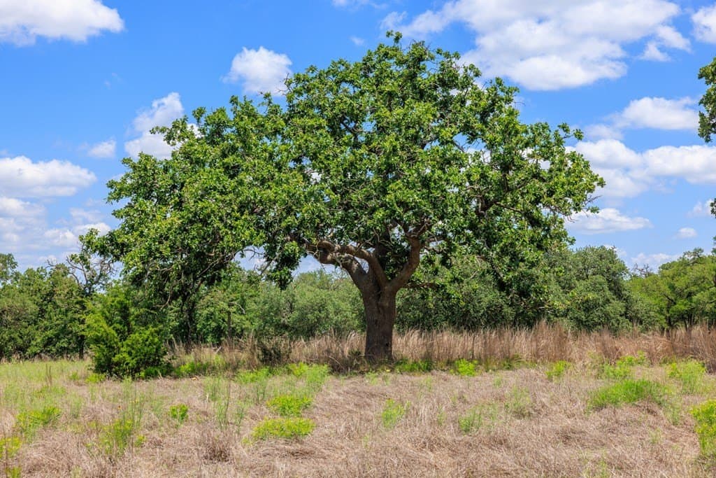 34.74 acres in Kendall County - photo 24