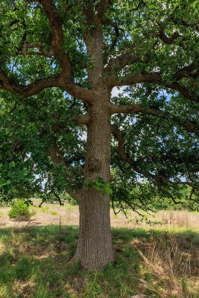 34.74 acres in Kendall County - photo 14