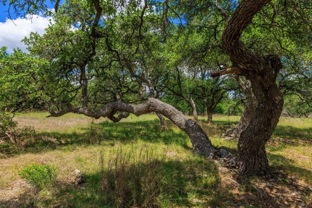 34.74 acres in Kendall County - photo 17