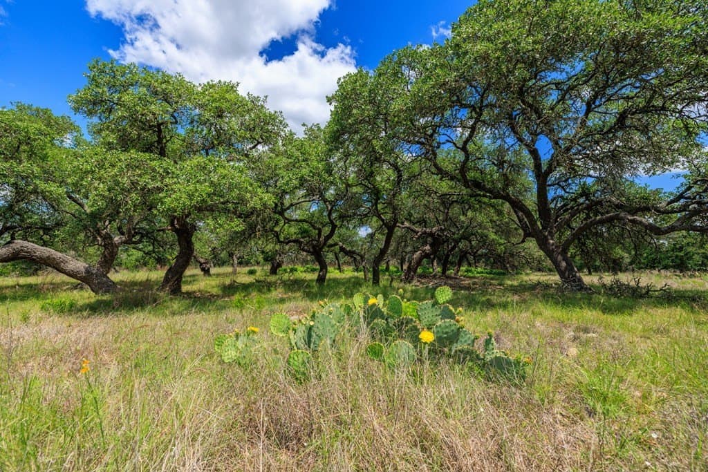34.74 acres in Kendall County - photo 15