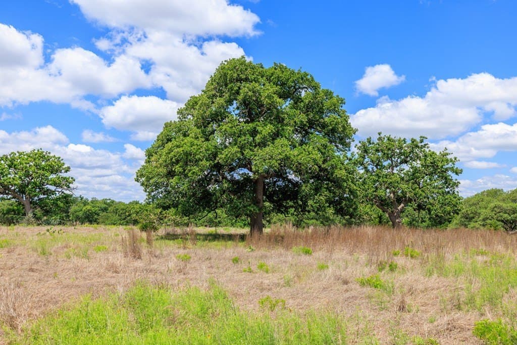 34.74 acres in Kendall County - photo 6
