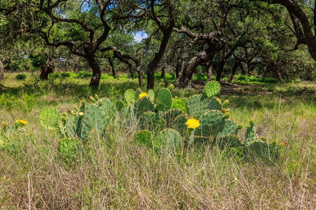 34.74 acres in Kendall County - photo 16