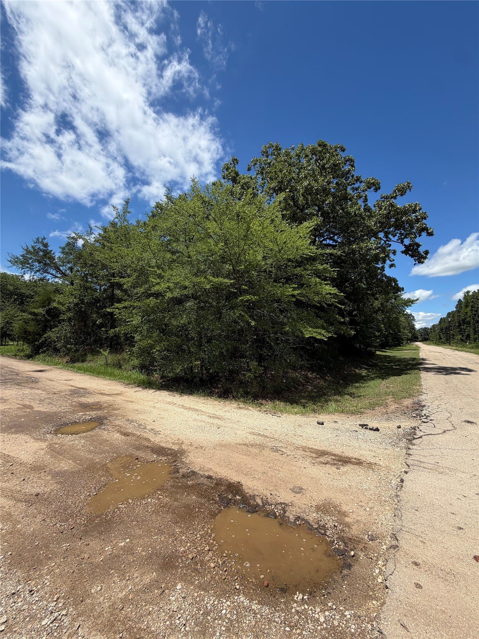 0.09 acres in Henderson County gallery image 2