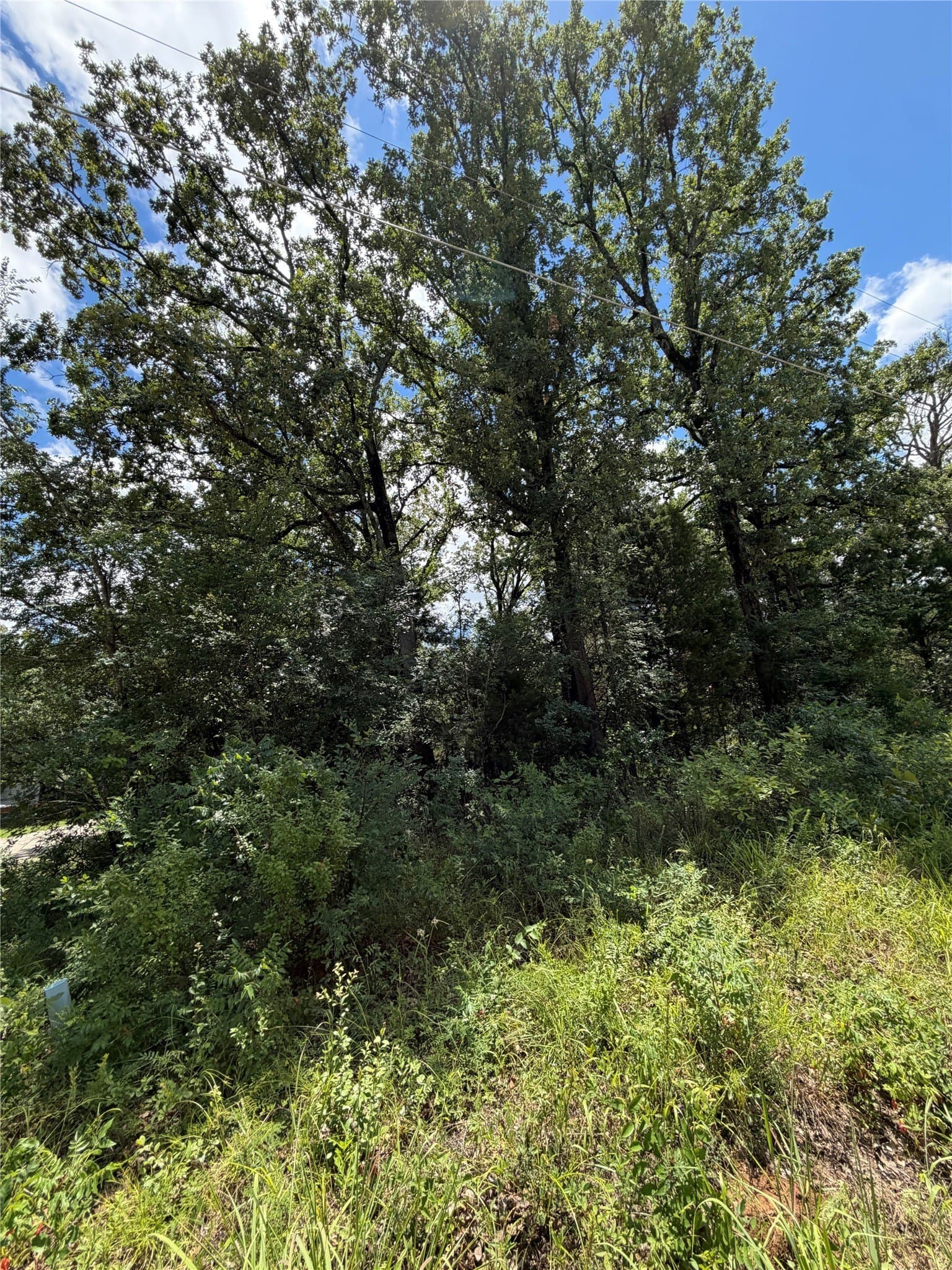 0.09 acres in Henderson County gallery image 4