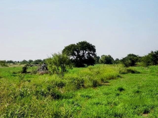 43.35 acres in Grayson County