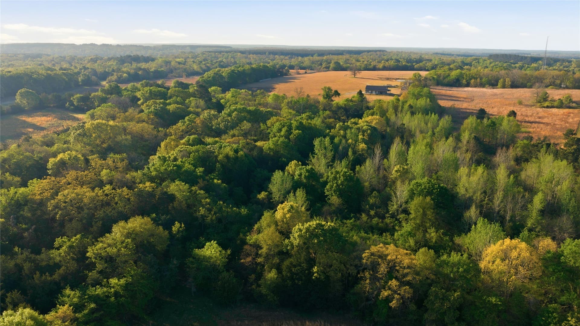 87.5 acres in Henderson County - photo 29