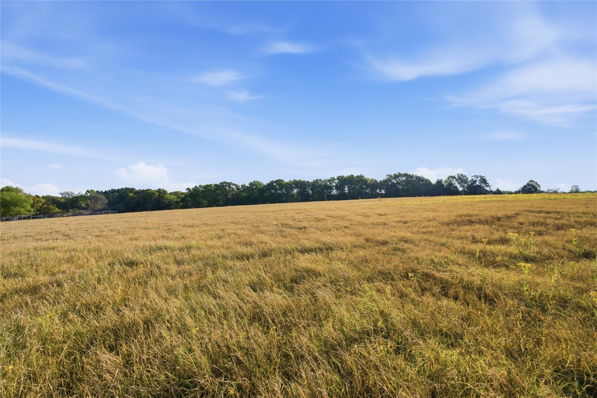 87.5 acres in Henderson County - photo 21