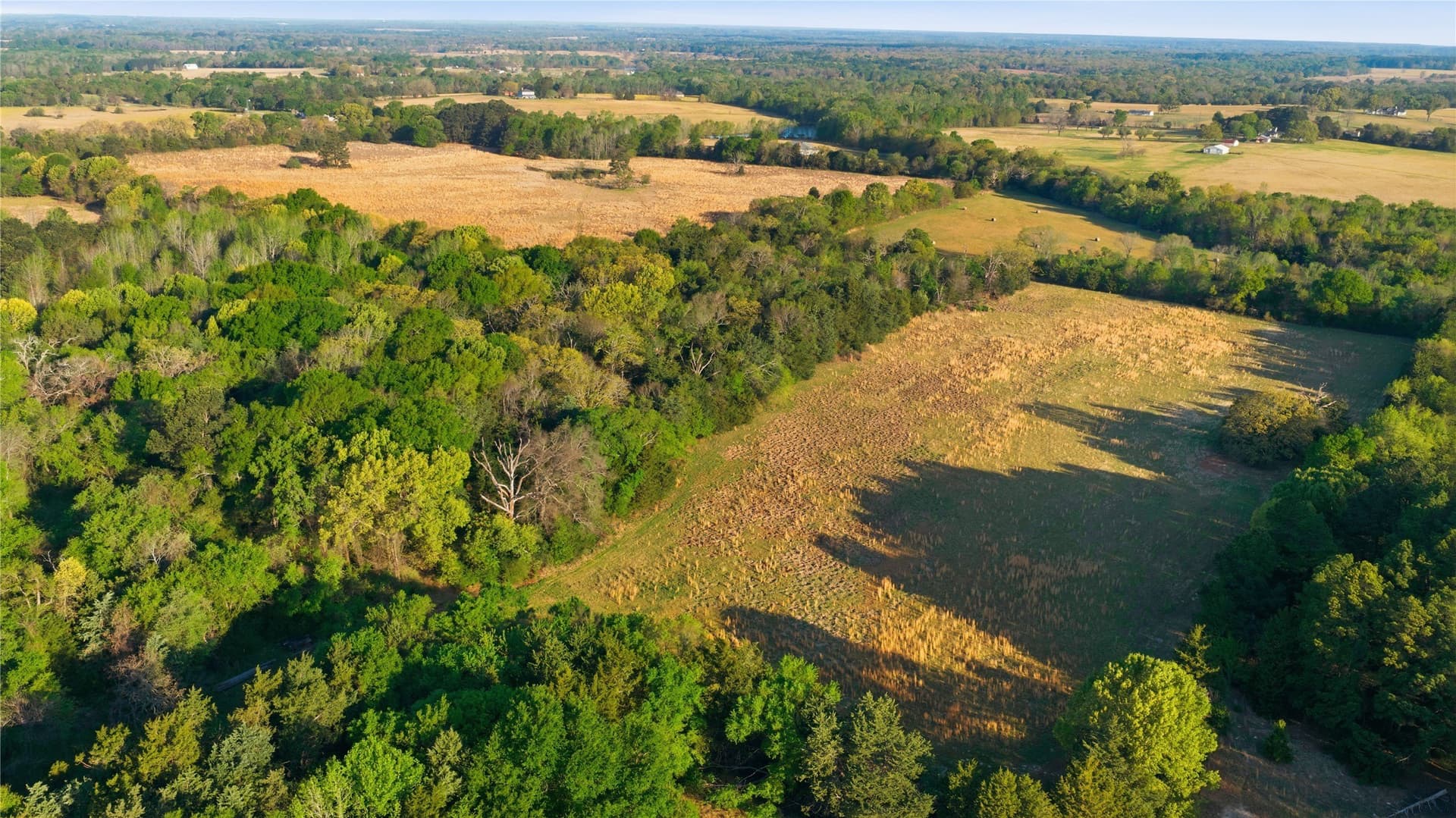 87.5 acres in Henderson County - photo 24
