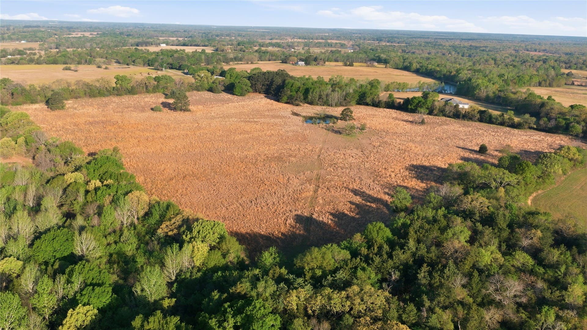 87.5 acres in Henderson County - photo 23