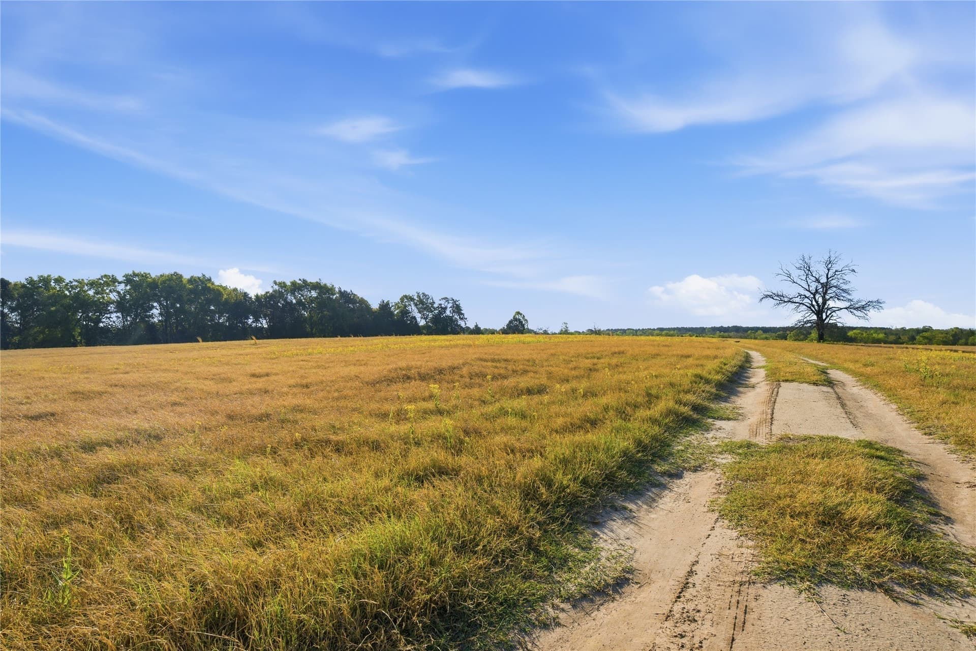 87.5 acres in Henderson County - photo 22