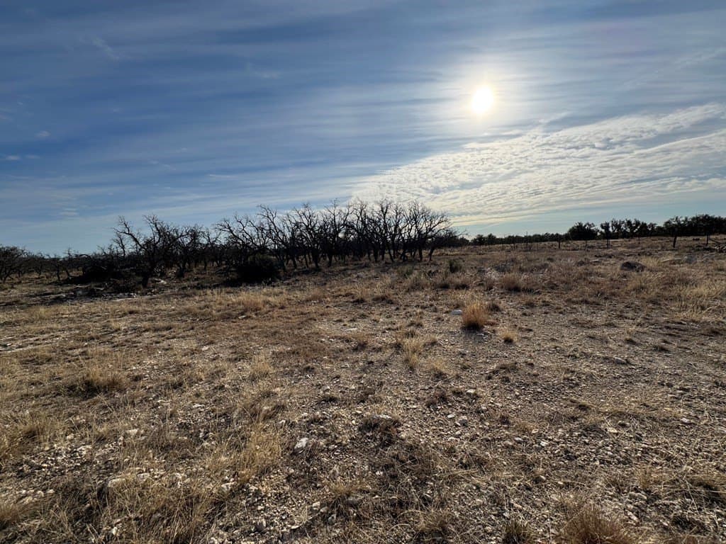18.44 acres in Menard County featured view