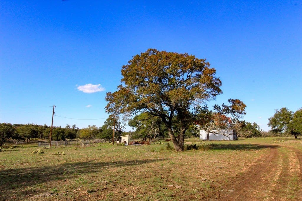 50 acres in Gillespie County - photo 14