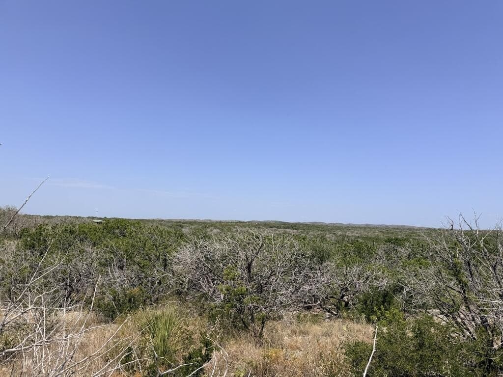 16.8 acres in Uvalde County - photo 33