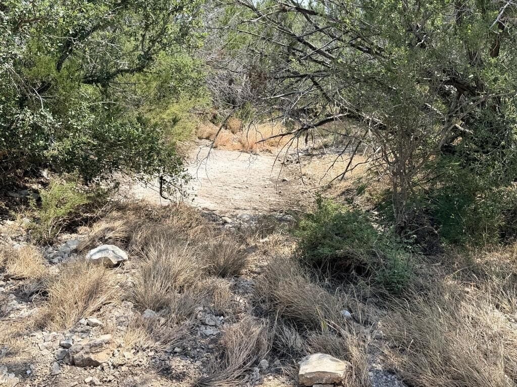 16.8 acres in Uvalde County - photo 5