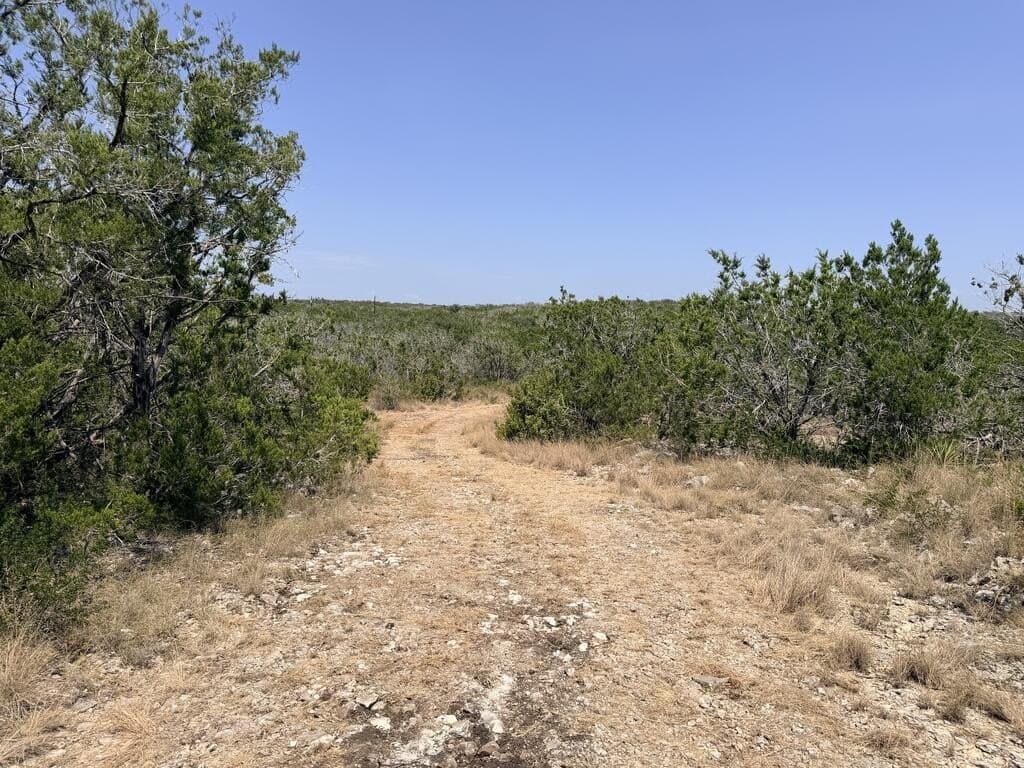 16.8 acres in Uvalde County - photo 25