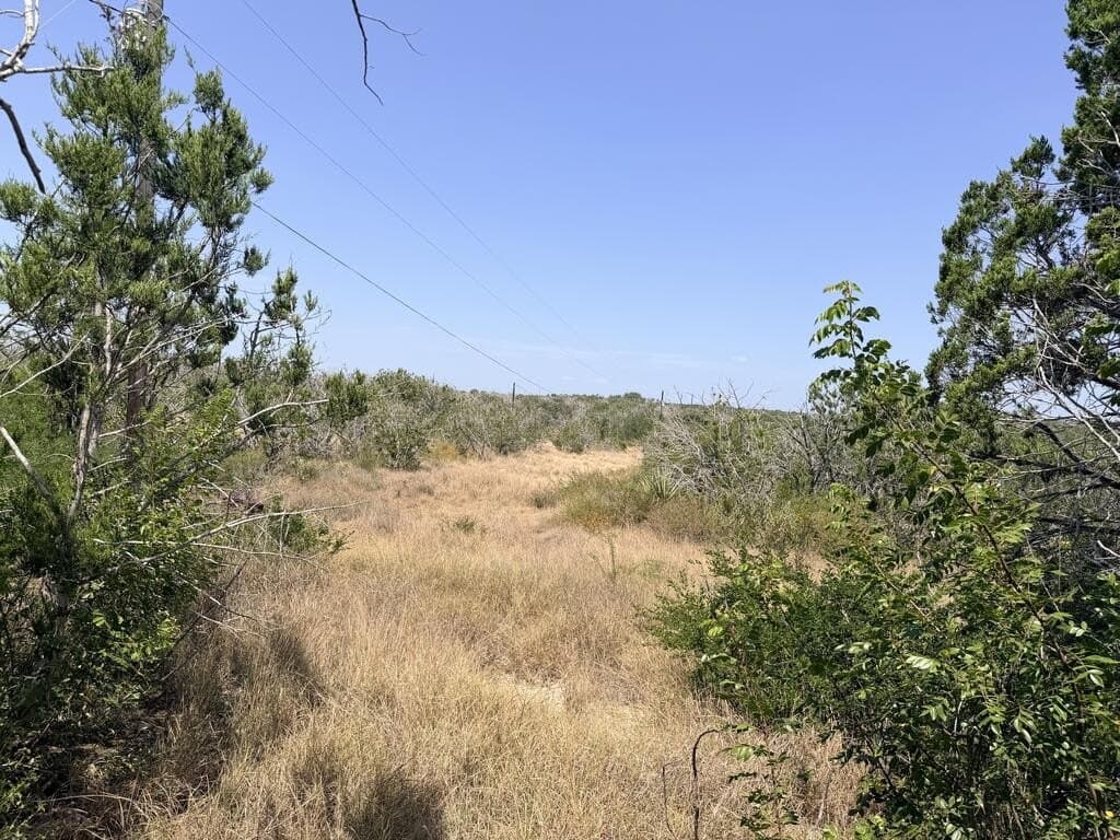 16.8 acres in Uvalde County - photo 27
