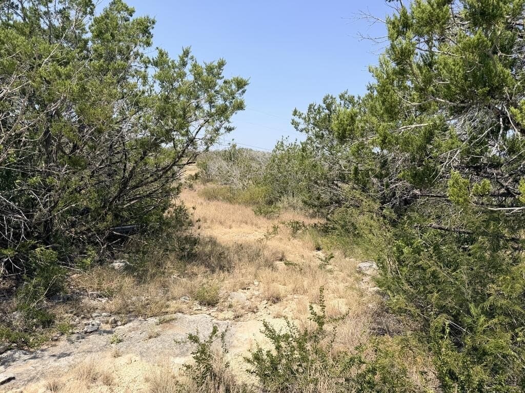 16.8 acres in Uvalde County - photo 17