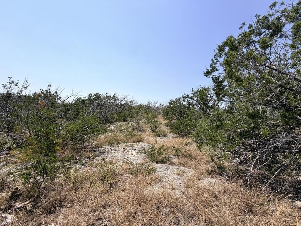 16.8 acres in Uvalde County - photo 16