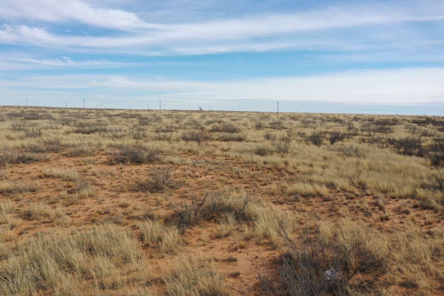 35 acres in Andrews County gallery image 4
