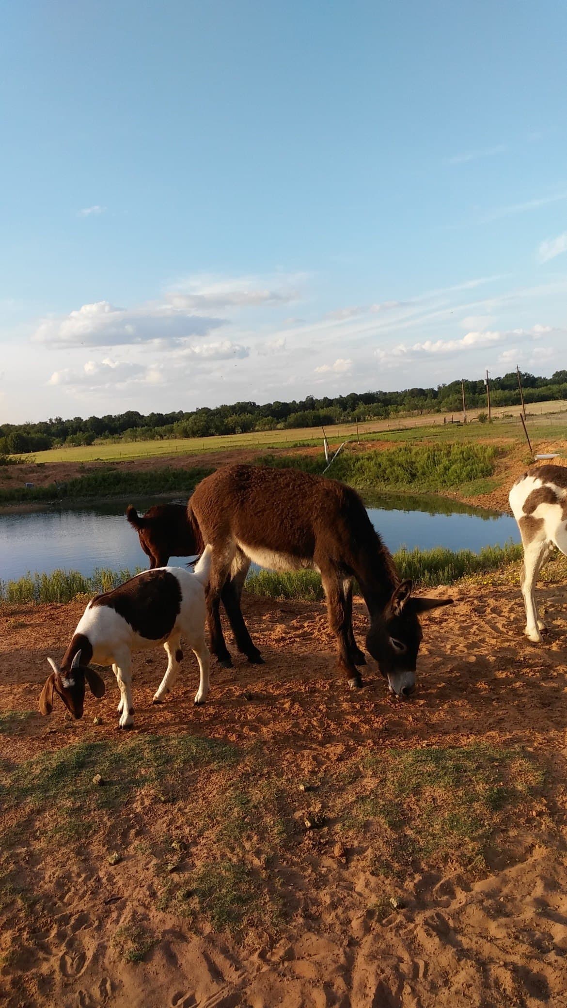 21 acres in Jones County featured view