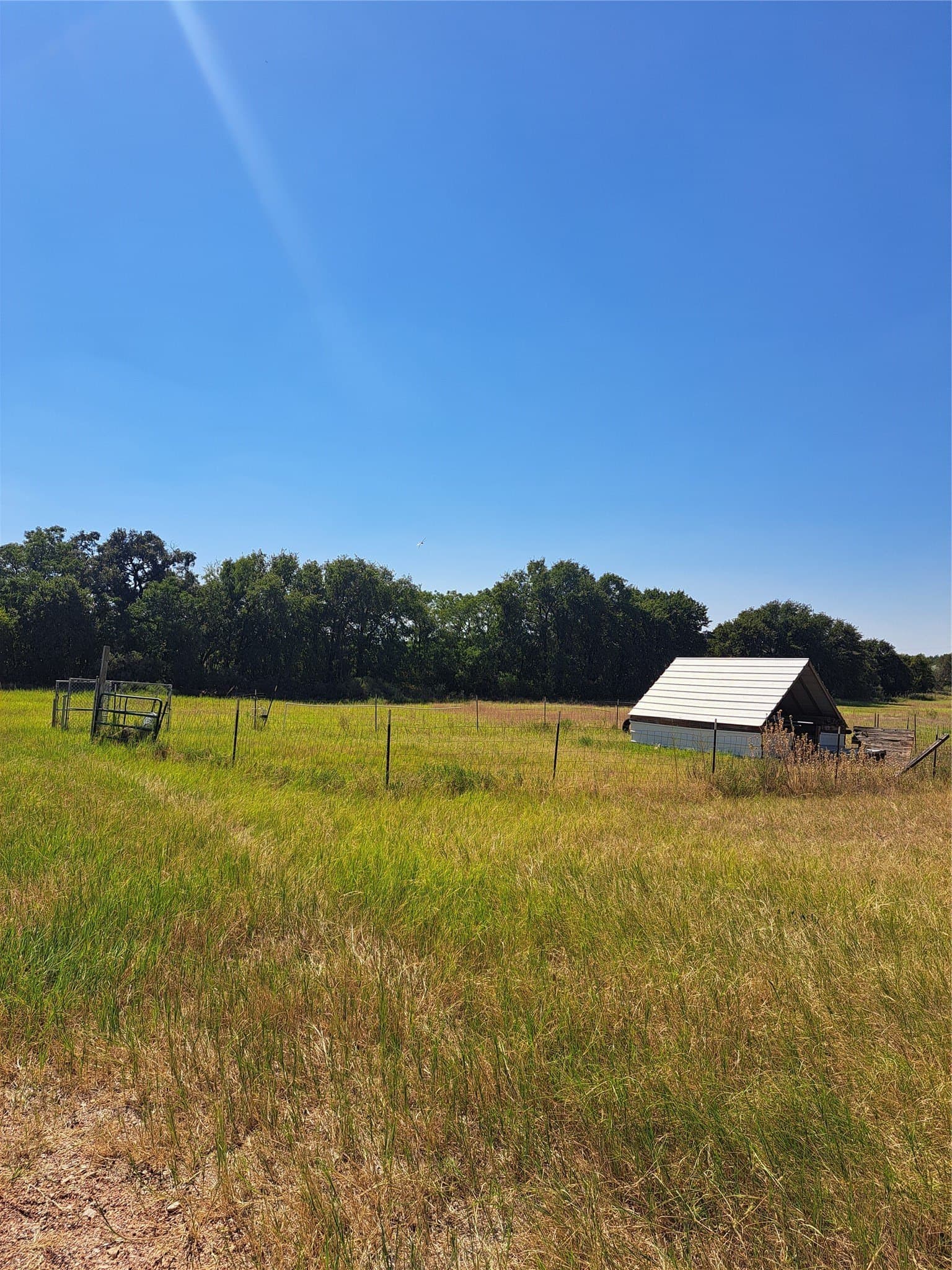 21 acres in Jones County gallery image 3