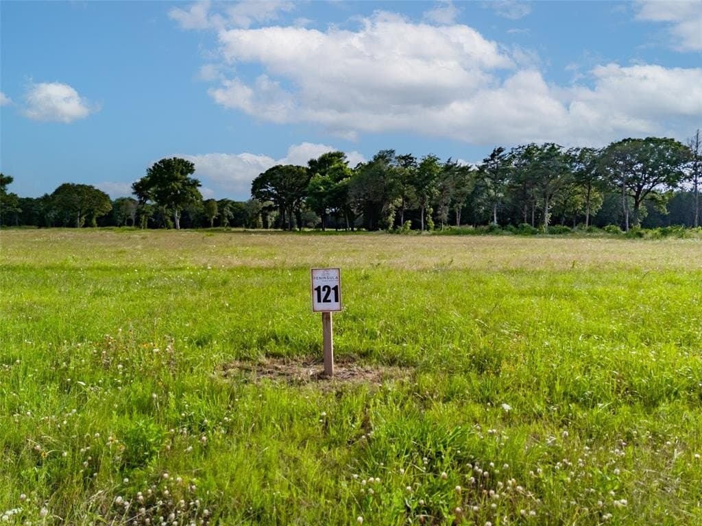 3.01 acres in Fannin County gallery image 4