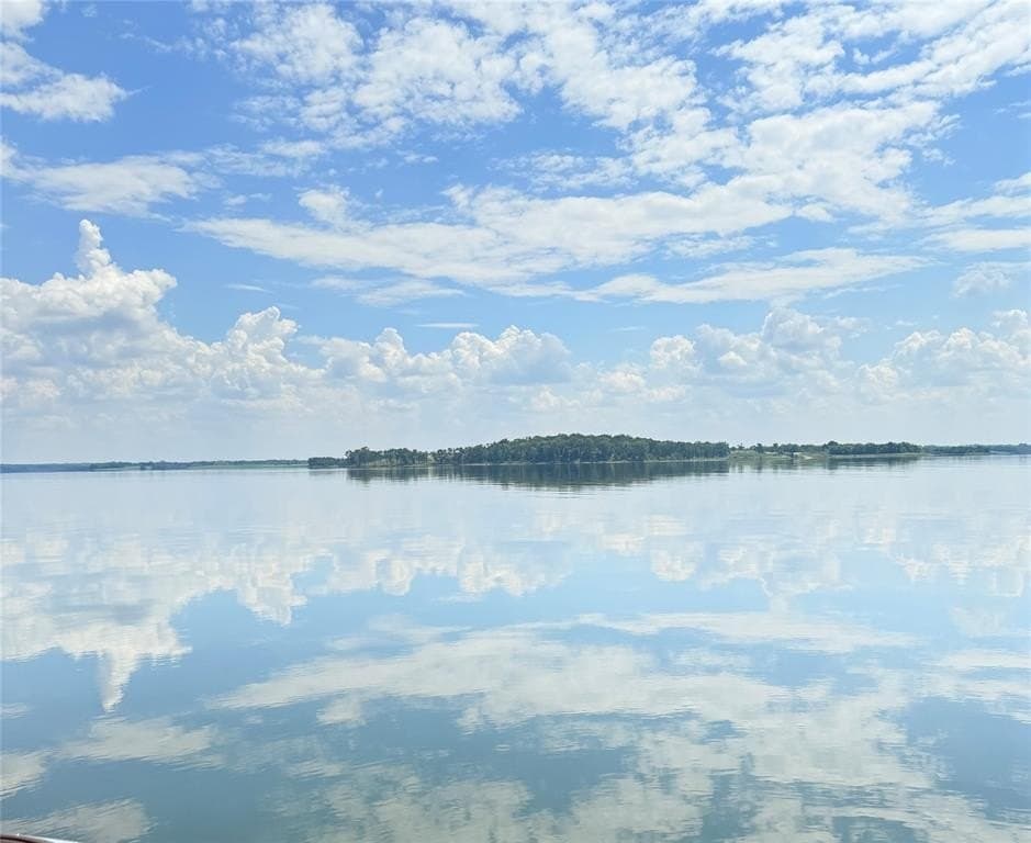 3.01 acres in Fannin County gallery image 2