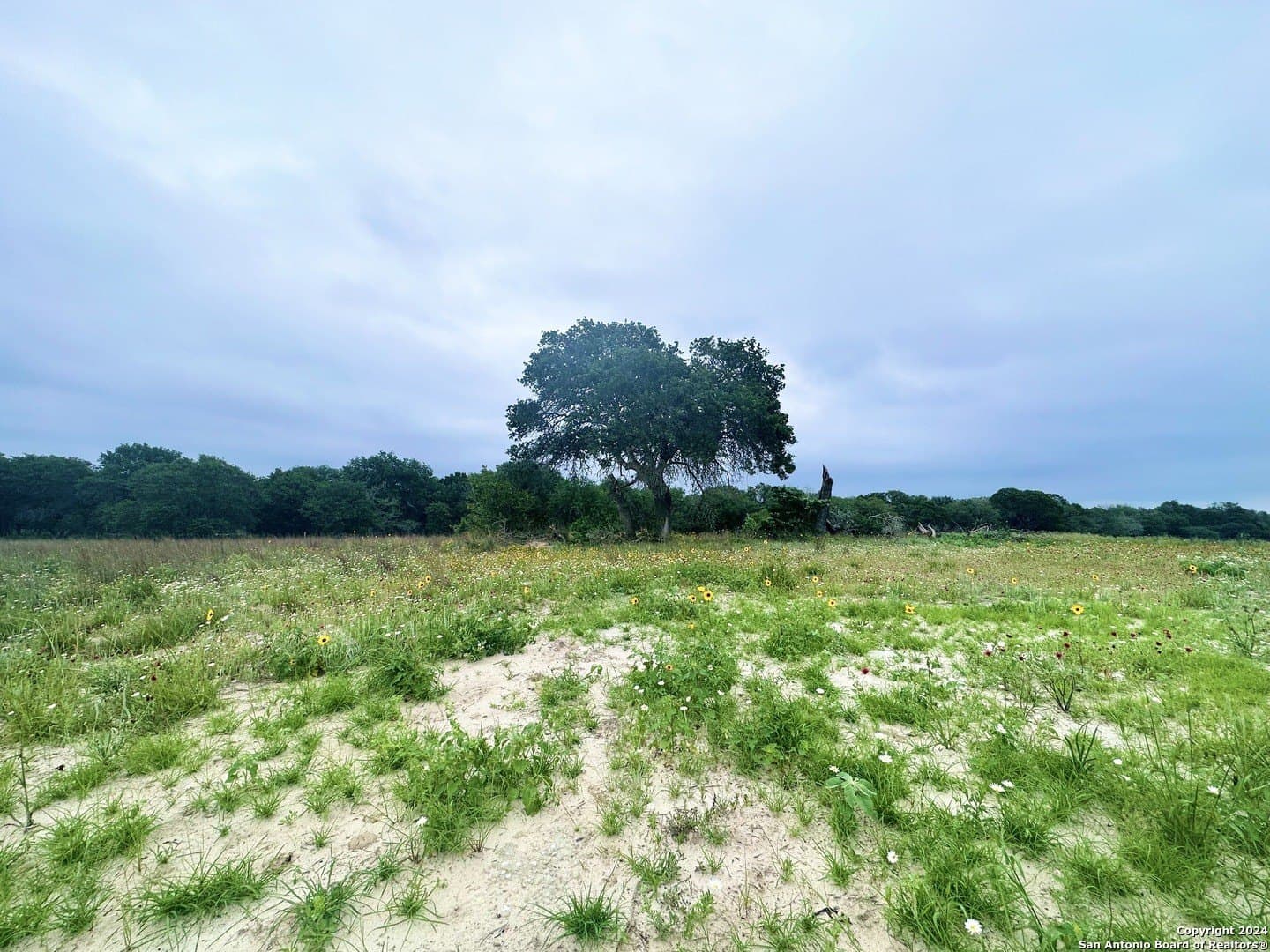 1 acres in Wilson County gallery image 2