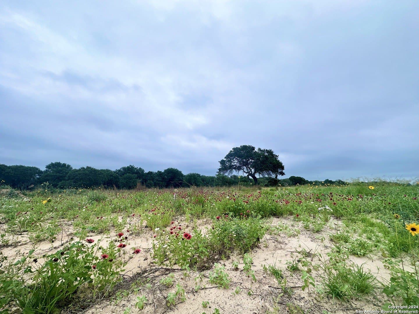 1 acres in Wilson County gallery image 4