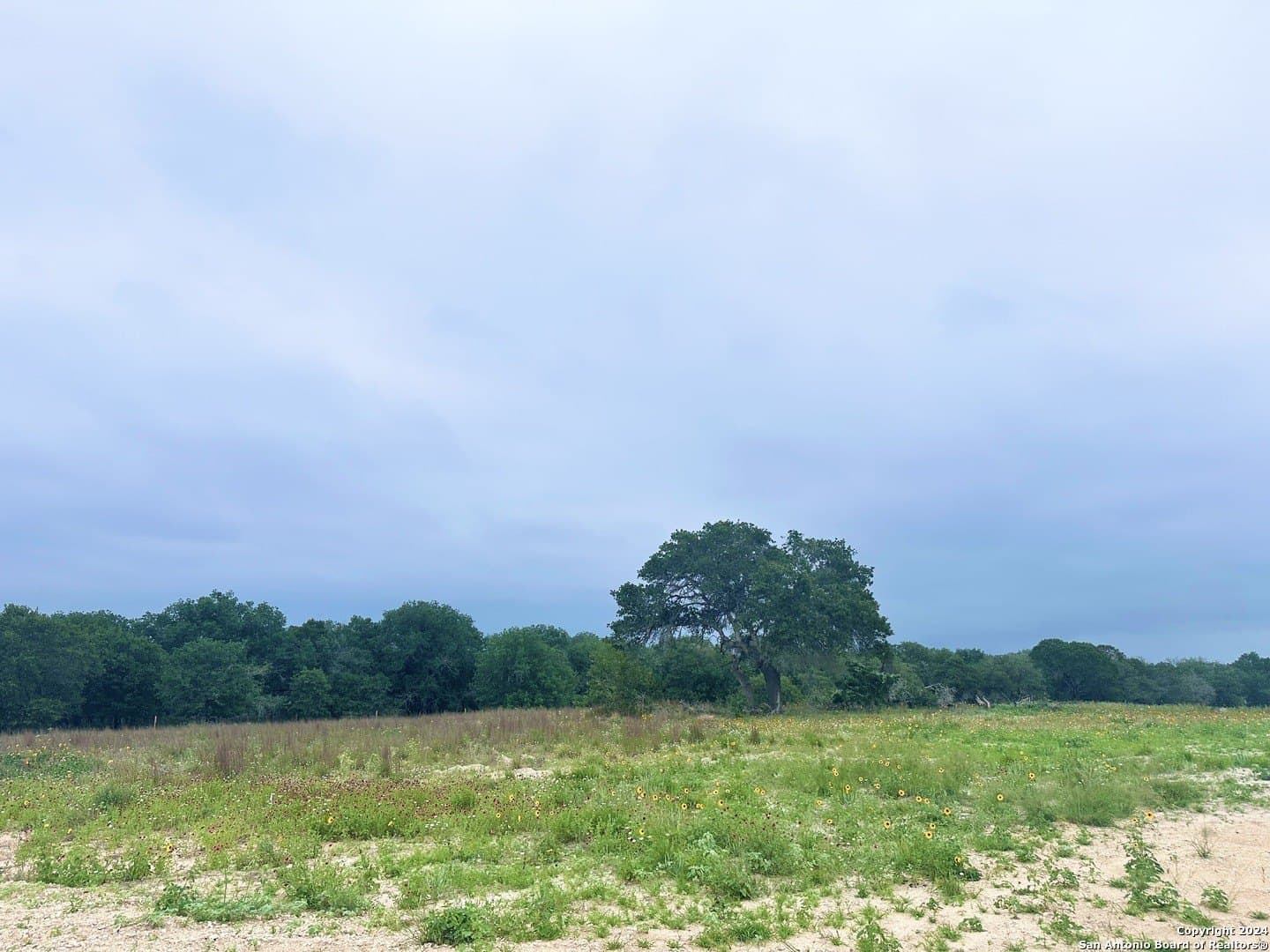 1 acres in Wilson County featured view