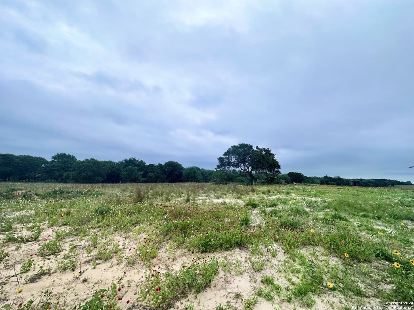 1 acres in Wilson County - photo 6