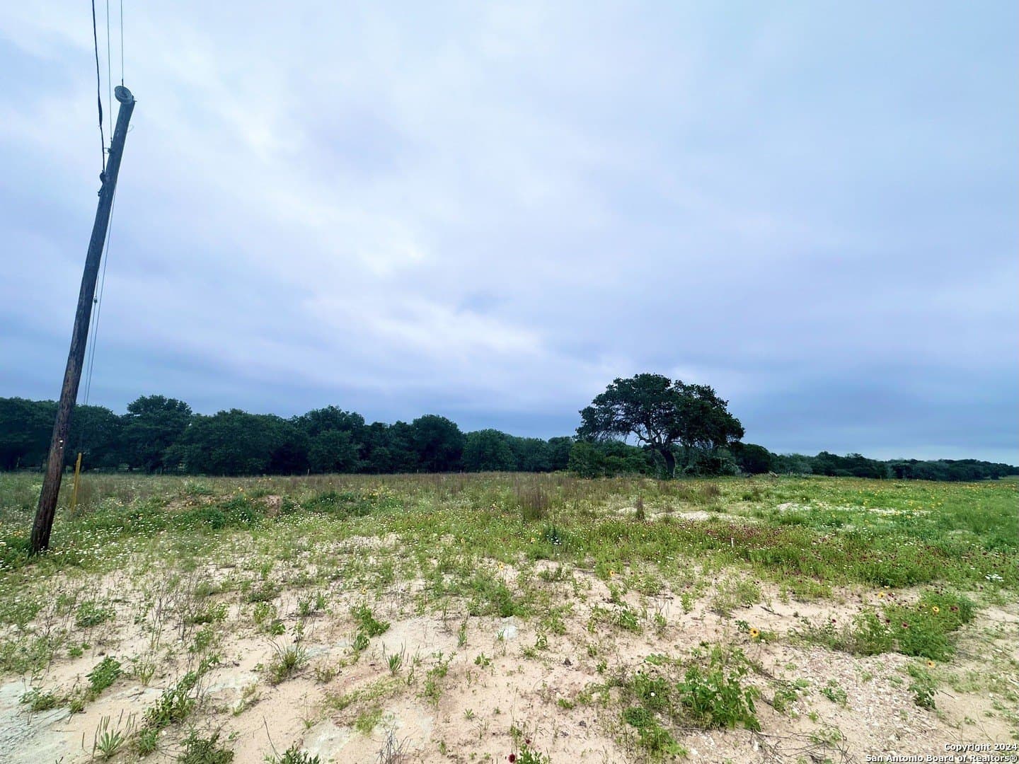 1 acres in Wilson County gallery image 3