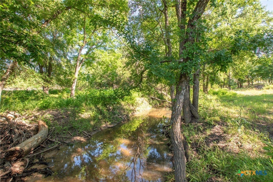 10.01 acres in Lampasas County gallery image 4