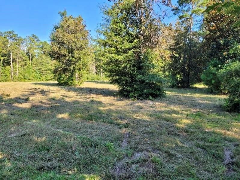 3.72 acres in Texas County - photo 10