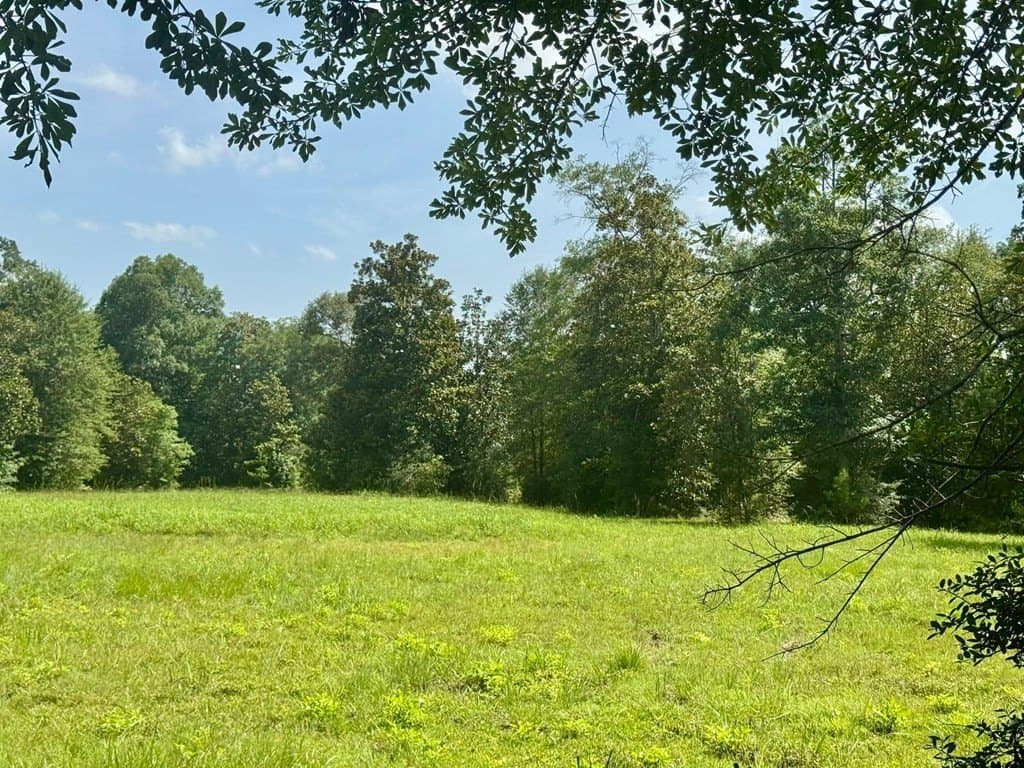 3.72 acres in Texas County gallery image 2
